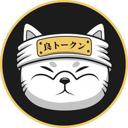 Ryoshis Vision